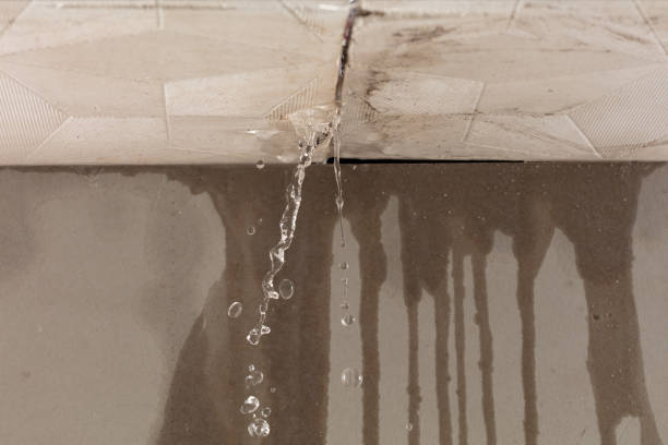 Professional Structural Drying technician working in Sparta, WI